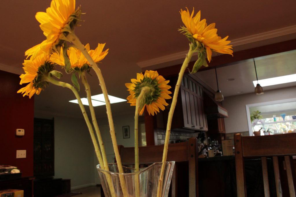 This photo shows a vase with orange sunflowers on top in the foreground. In the background, there is a kitchen and a front room.