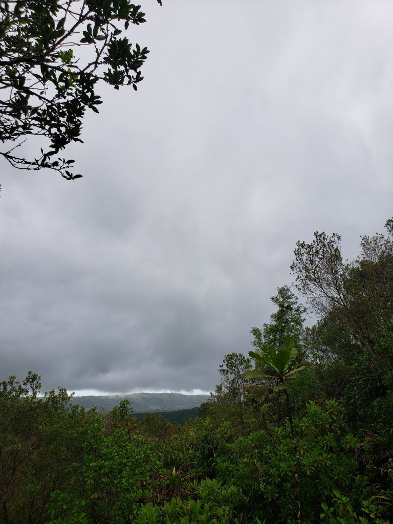 This photo shows a landscape of Costa Rica, where there is an opening between some shrubbery which shows the top of a hill. There are overcast clouds covering a large portion of the photo, which makes it a very gloomy-looking photo.
