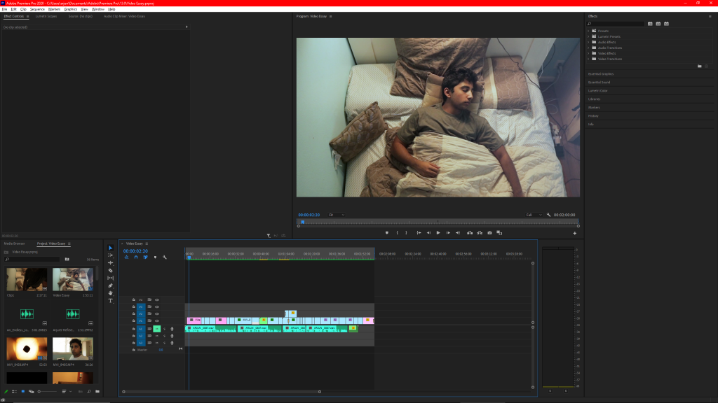 This photo shows my interface in Premiere Pro where I edited my Video Essay.