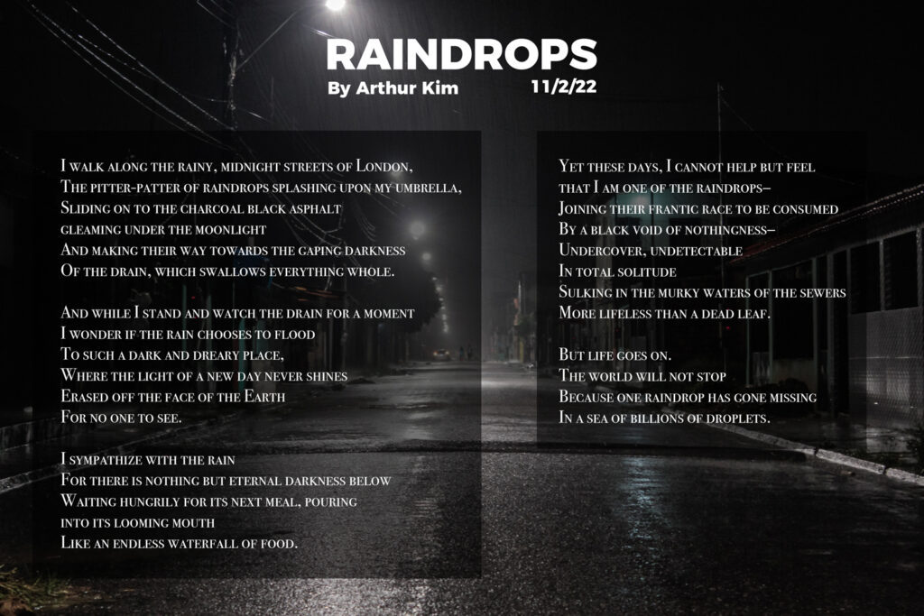Raindrops by Arthur Kim