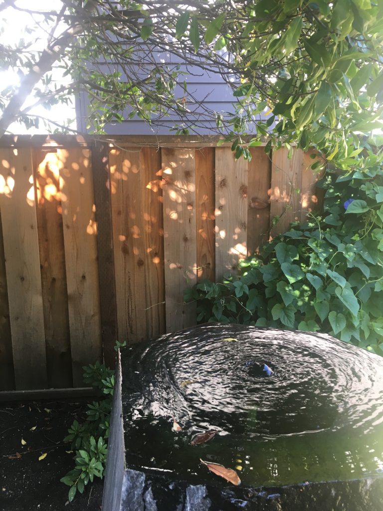 A tree hangs over a fence, with a fountain in the bottom left hand corner, demonstrating the rule of thirds.