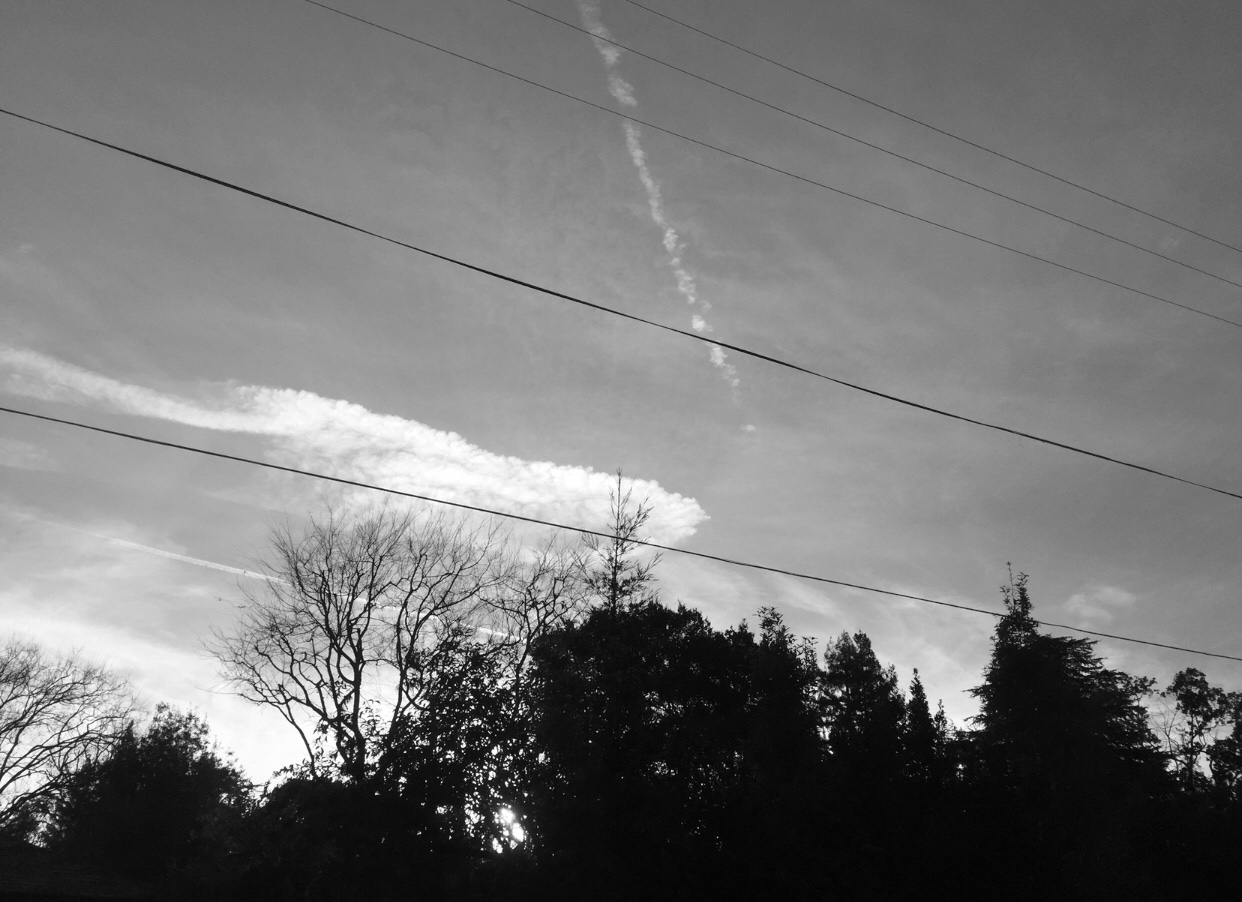 A black and white image of trees and a sky with cable lines, clouds