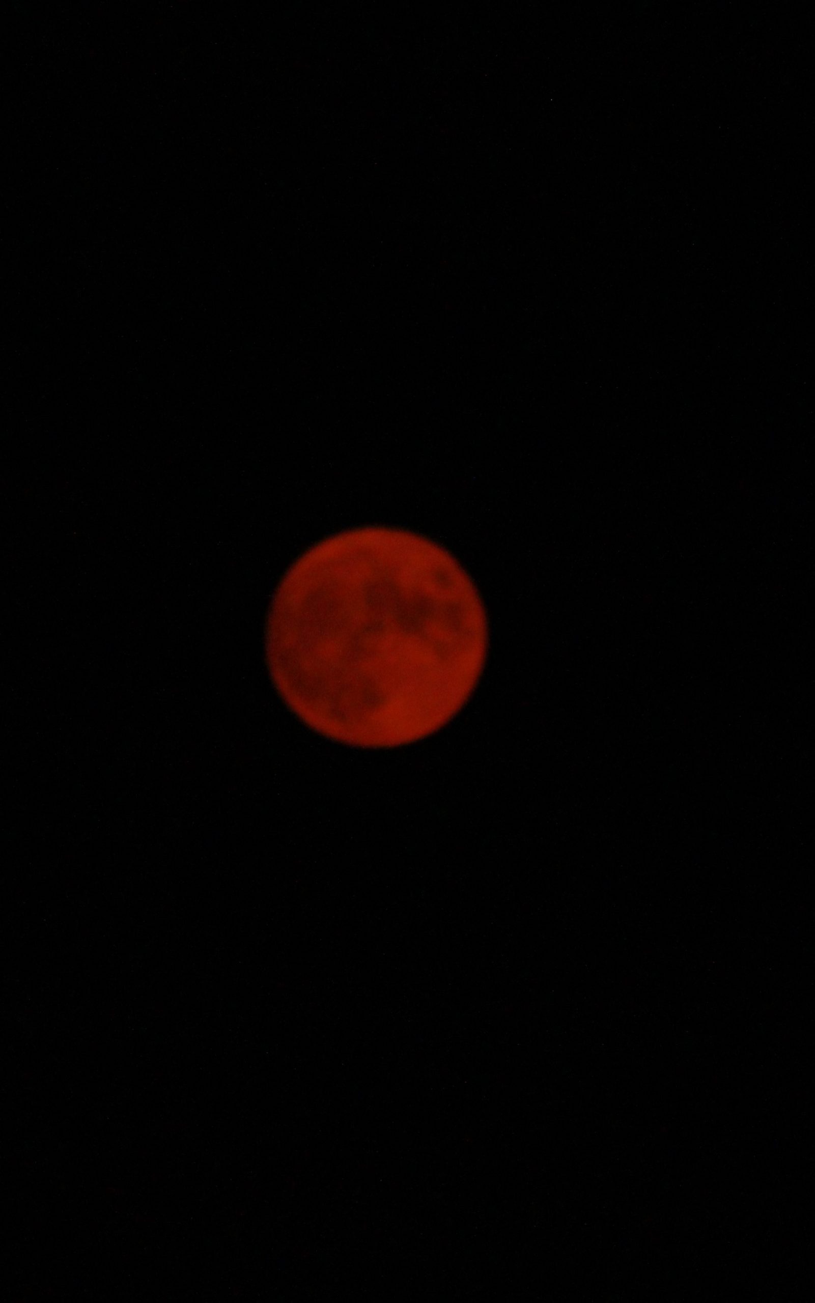 portrait of red moon