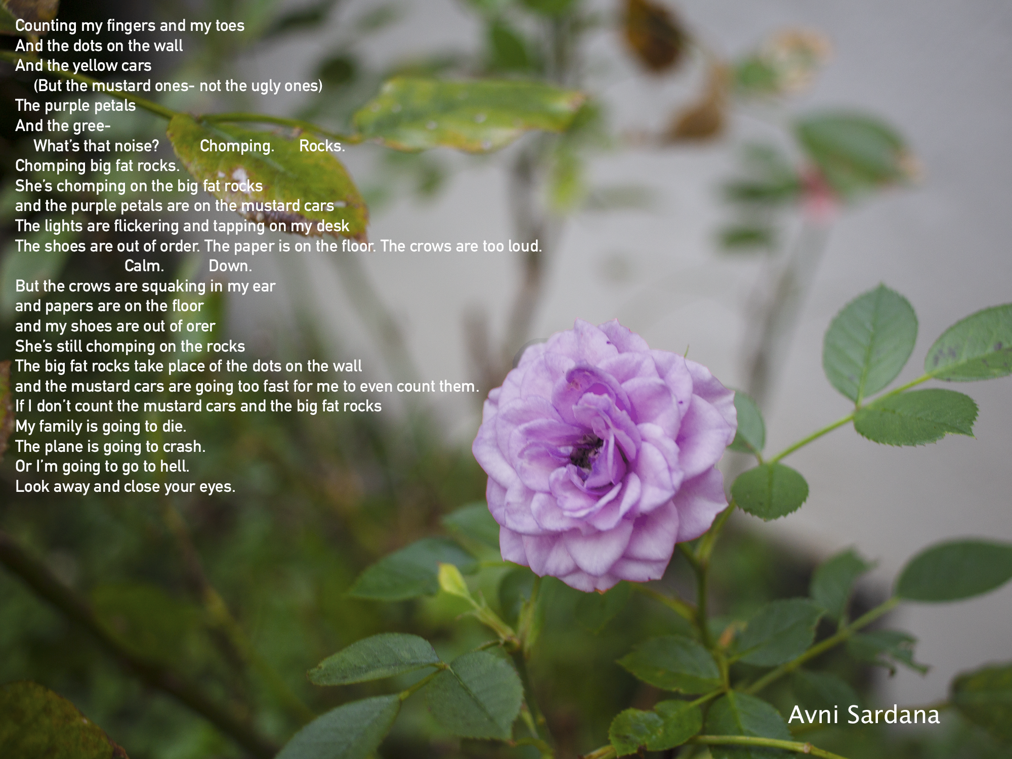 Poem by Avni Sardana Counting is Not for Kids