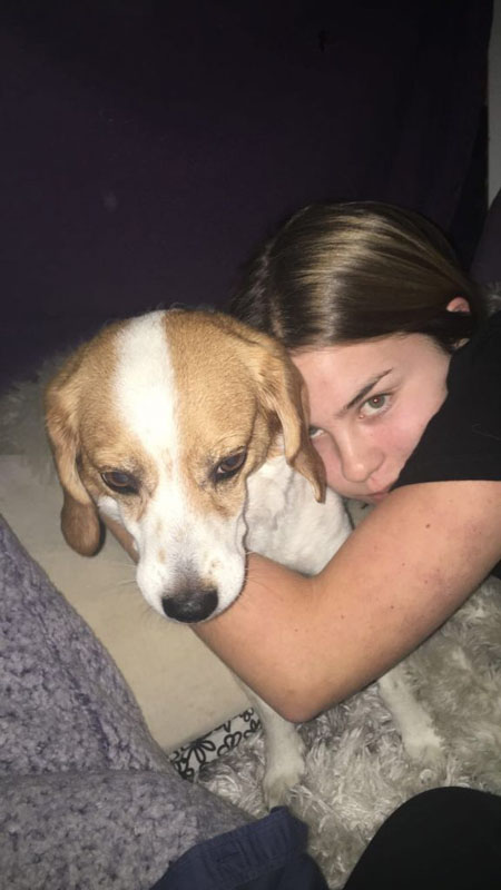 Picture is of a girl with arms around her dog. Dog is brown and white fur and is looking down, and the girl is looking at the camera. 