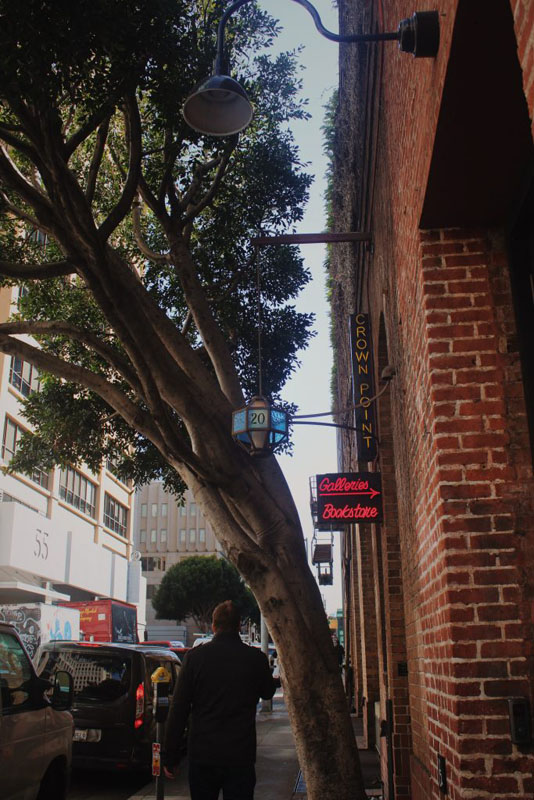 Man in a black coat walking under a tree with a brick wall on the side and a sign that says "Galleries Bookstore"