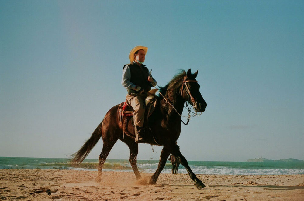 Man riding a horse on the beach