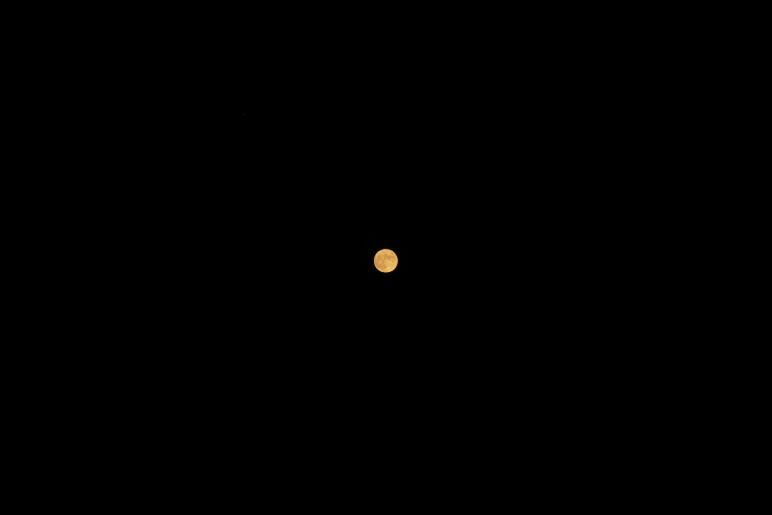 golden moon