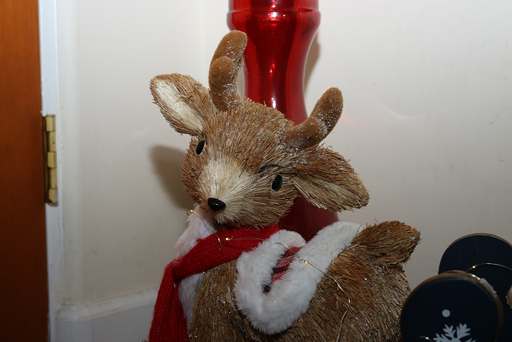 This time, the reindeer's head is touched more by the light, along with the vas in the back which is brightened up, allowing you to clearly see the red color from it. The flash is bright on the top of the photo, slowly getting darker by the bottom.