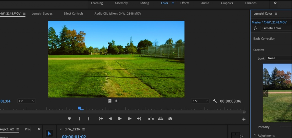 Color Correcting Shots on Adobe Pro