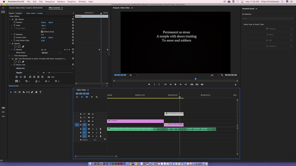 This is a screenshot of my Haiku video production in Premier Pro.