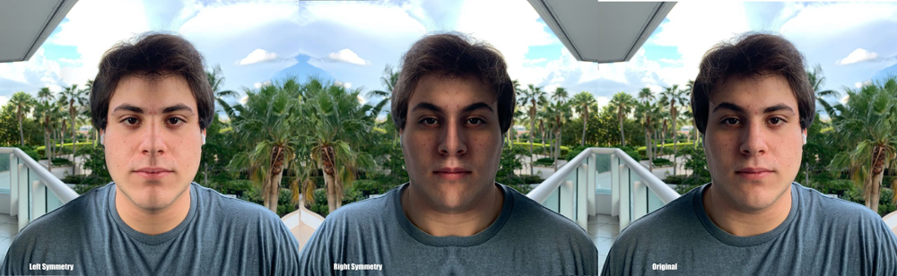 Symmetry in a Facial Portrait