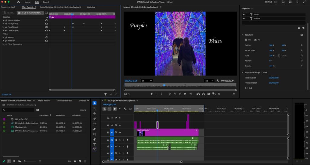 Screenshot of Premiere Pro and the process of making this Art Reflection Video. 
