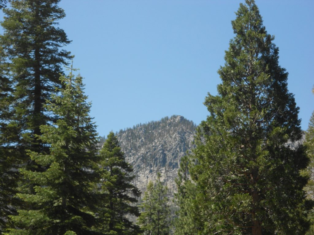 Photo of symmetrical landscape, of trees on the edges and a mountain through the middle. 