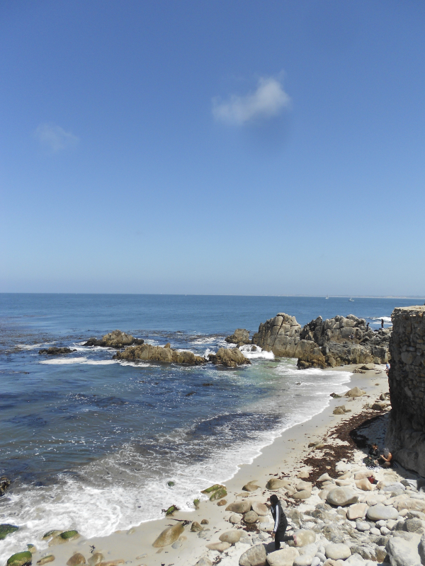 Photo of beach in Carmel