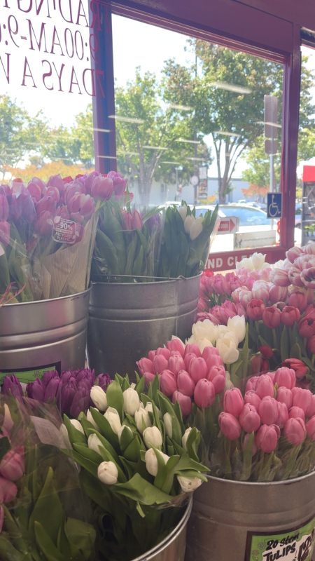 Picture of flowers 