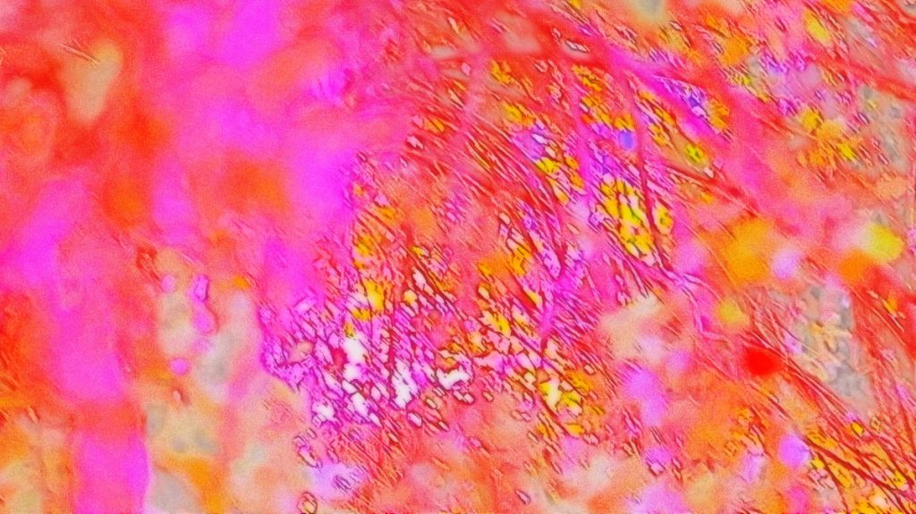 Red abstract branches