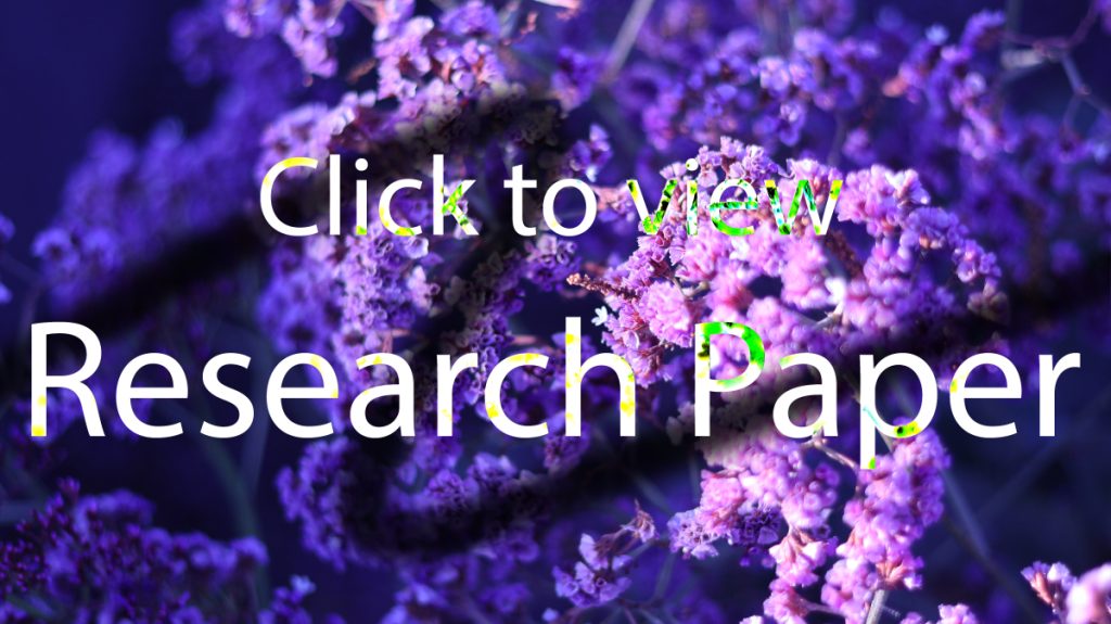 "Research Paper" PDF Thumbnail