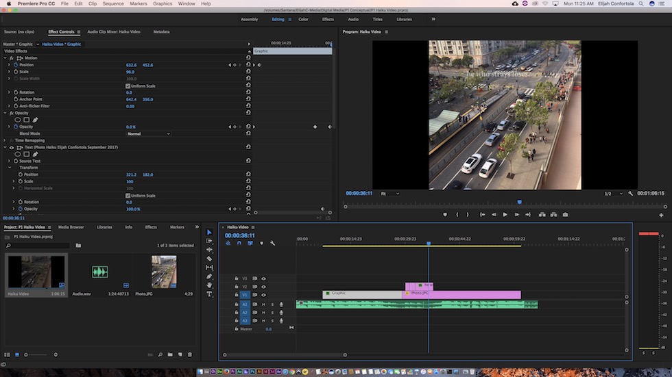 This is a screenshot of my page in Premiere Pro.
