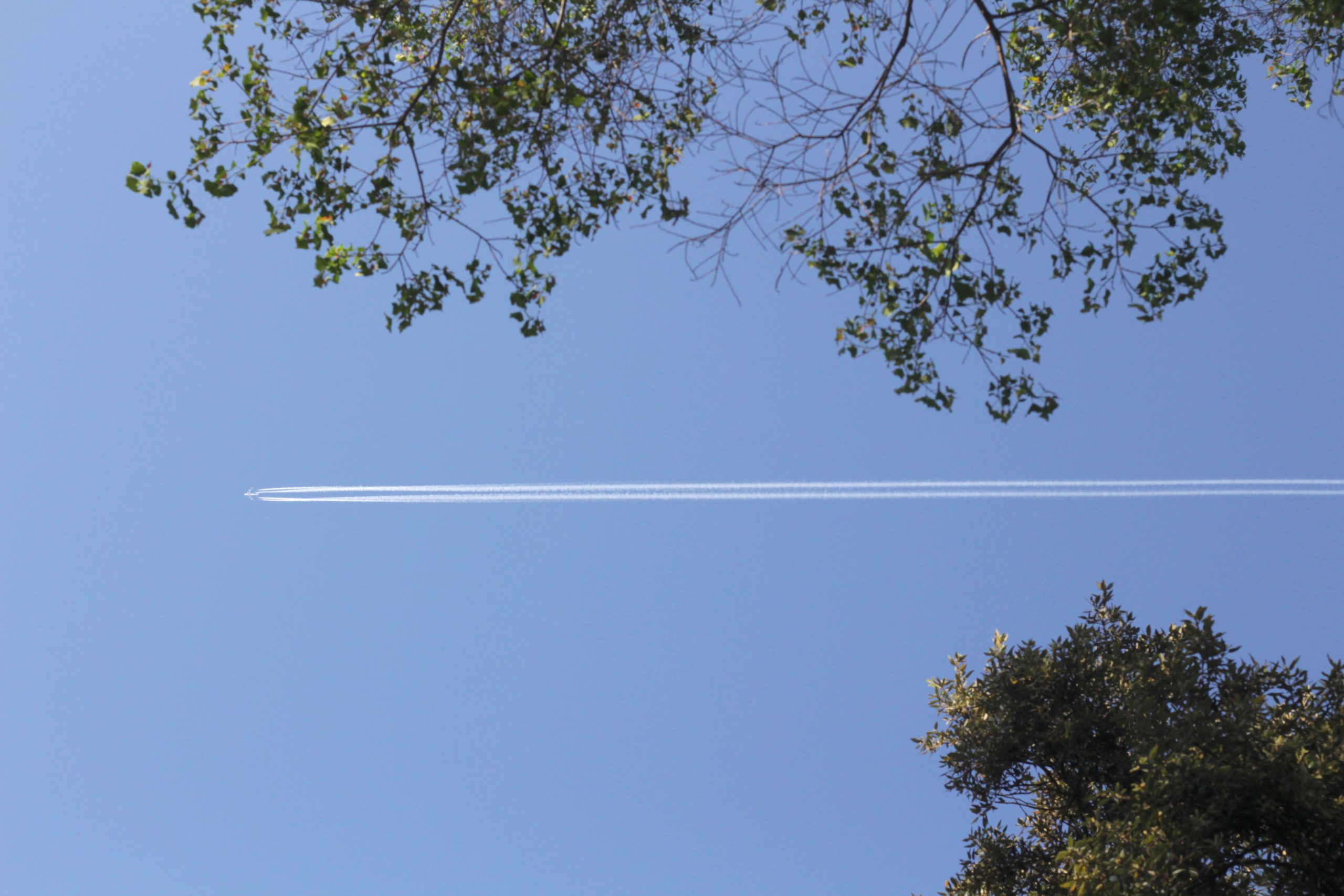 Photo of a fighter jet in the sky leaving a trail of smoke. 