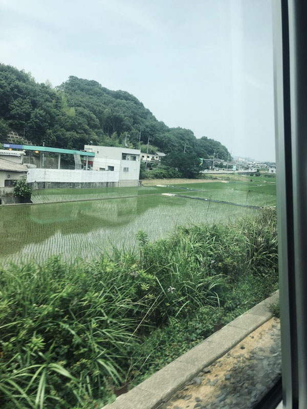 This week's assignment was to story-tell our individual cultures, and I chose to take a picture of a rural land-scape from the window of a train back when I travelled to Japan alone. Japanese trains carry and incorporate other cultures that has become my memory from childhood.