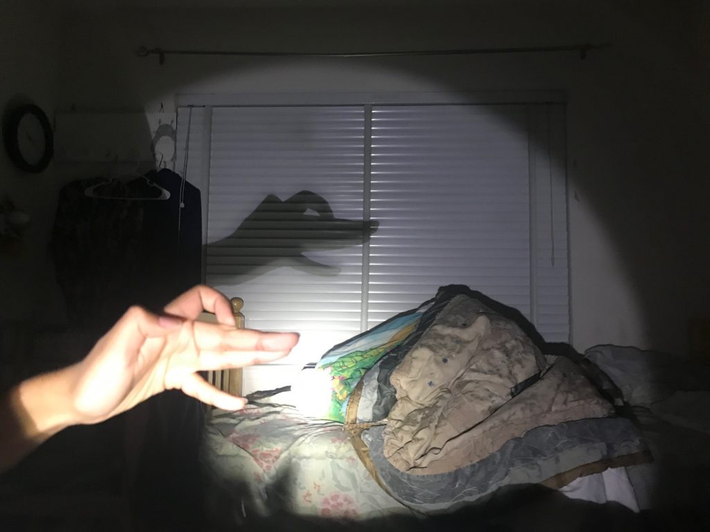 A picture of my sister making shadow puppets.