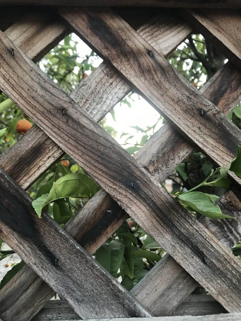 A picture of the top part of my fence that fits the frame.