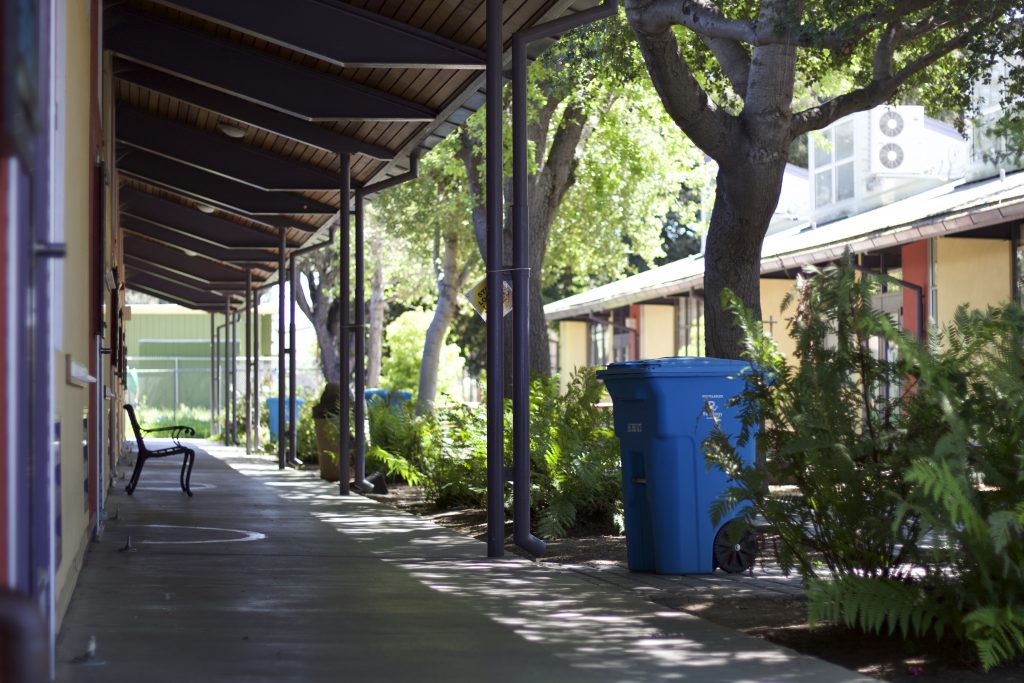 Looking down the line of a school, heavily shaded with lots of overgrown vegetation on the right side.