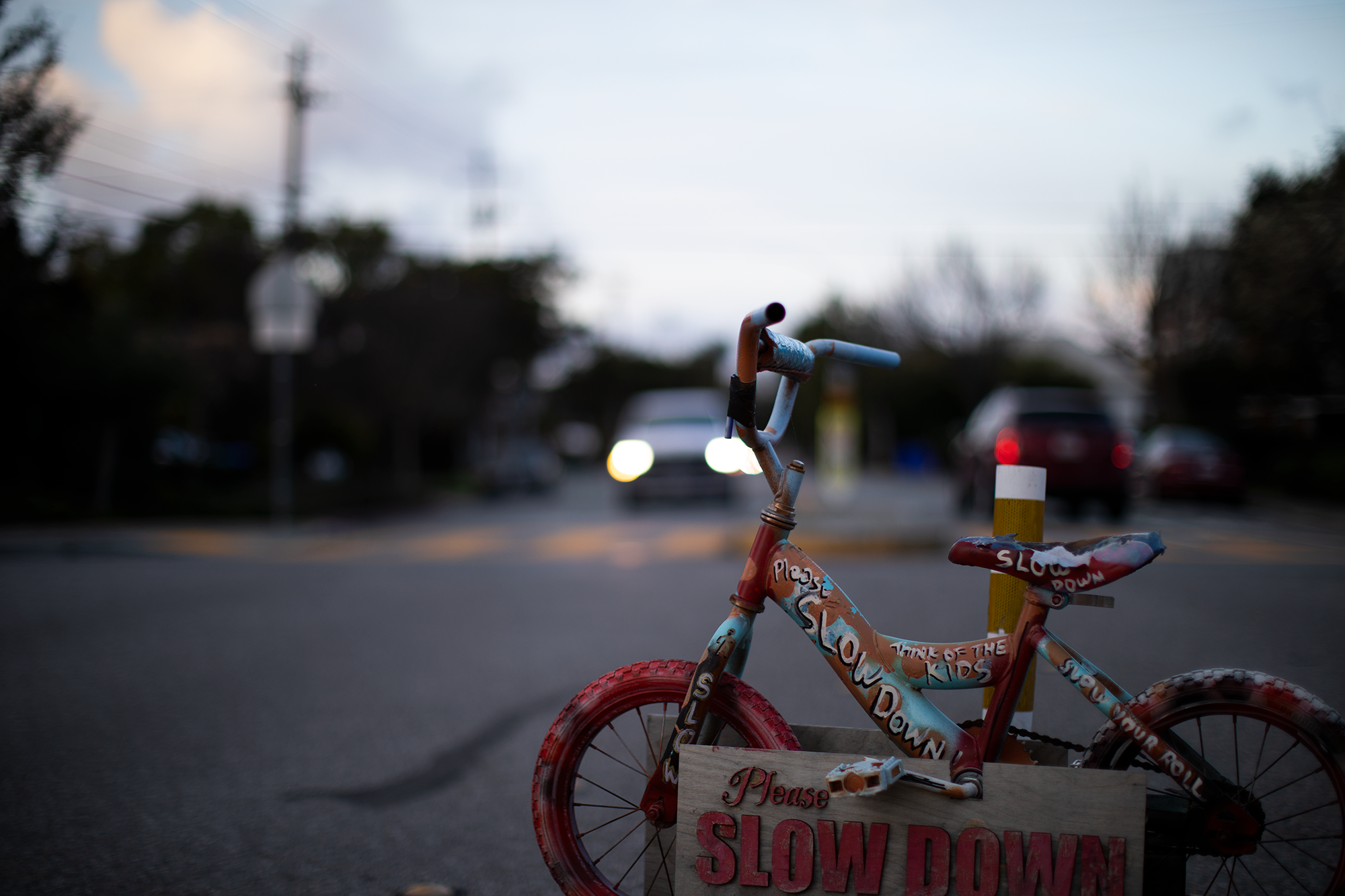 Photo Blog #15: Unknown