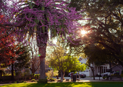 Photo Blog #21: My Happy Place