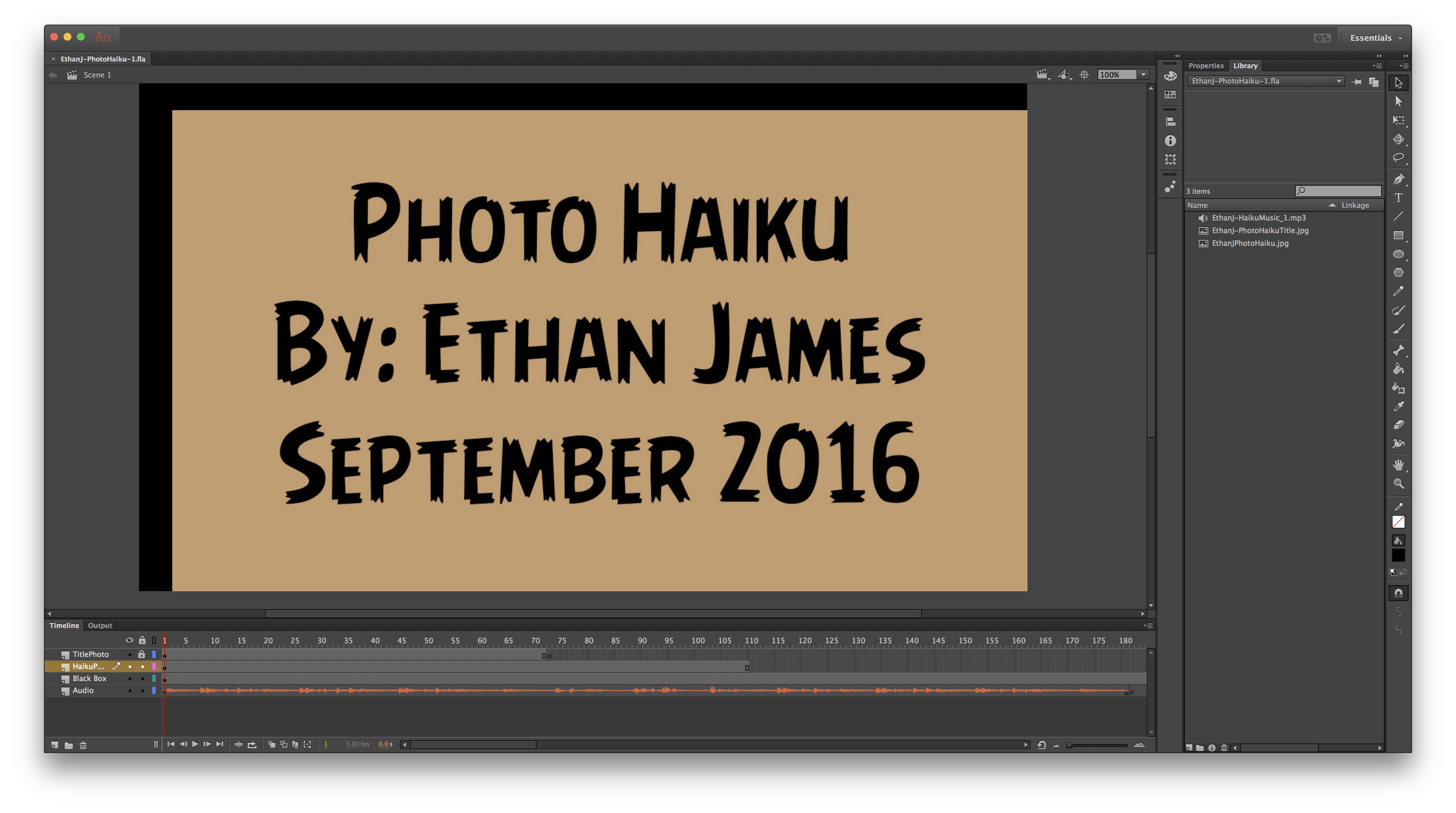This is a picture of my Photo Haiku while it was being made in Adobe Animate.