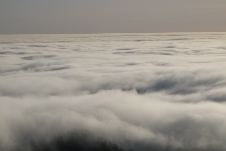 A photo of clouds with some trees at the bottom