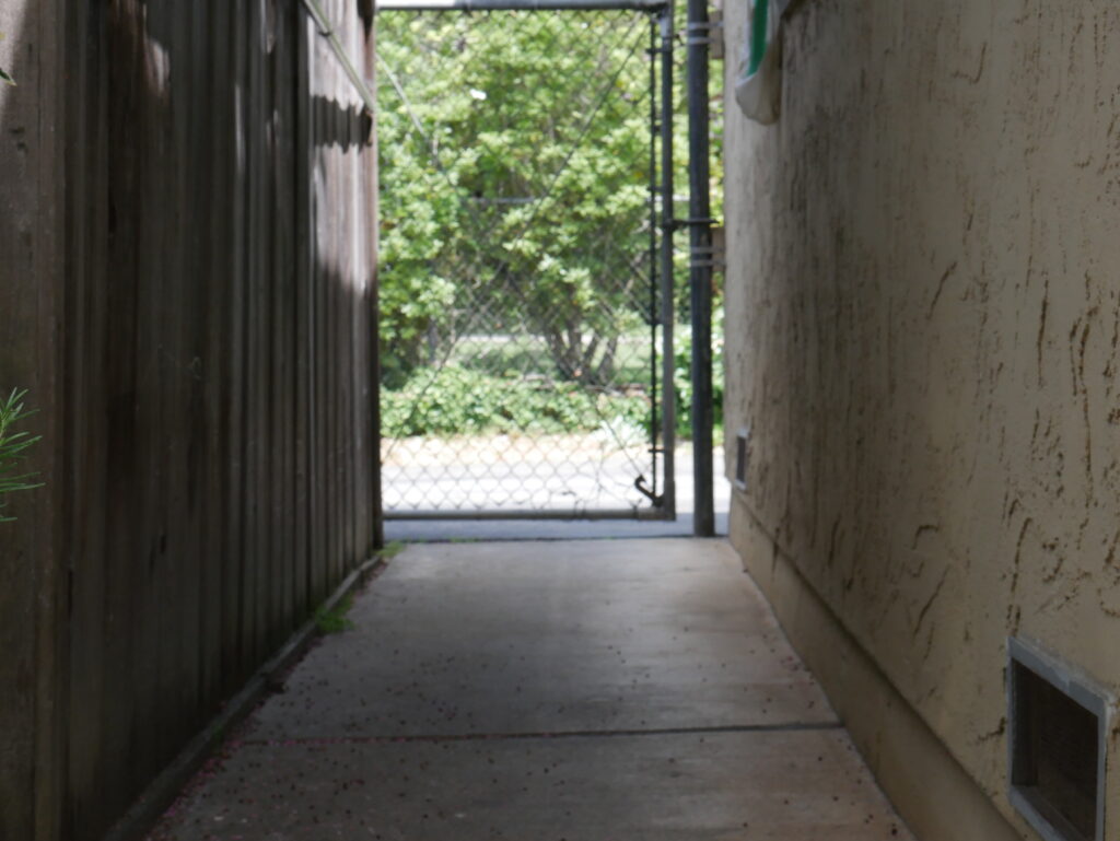 A dark walkway taken by a Lumix camera.