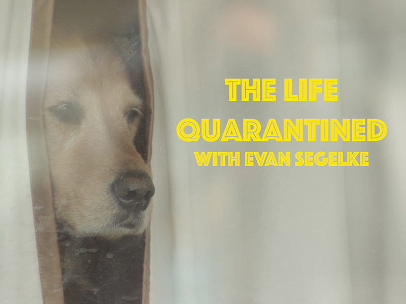 Title card for my film, with my dog
