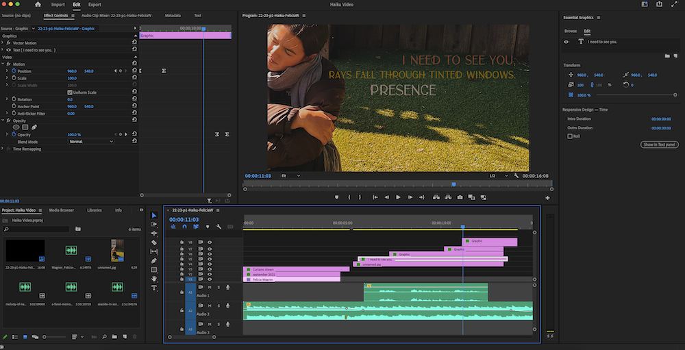 Screenshot of the Premiere Pro interface and details of the editing process