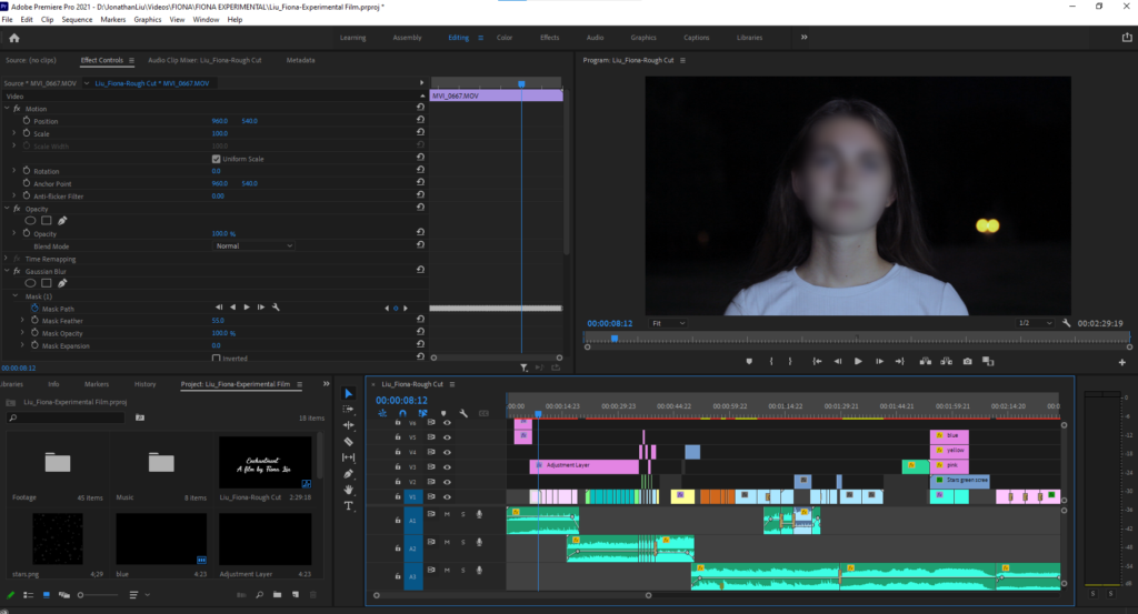 Premiere Pro Interface for Experimental Film