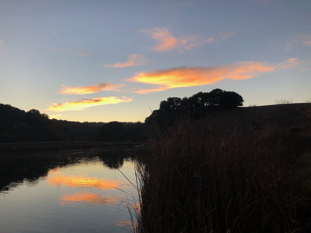 image of sunset at Foothills Park, silhouette of clouds reflection on water