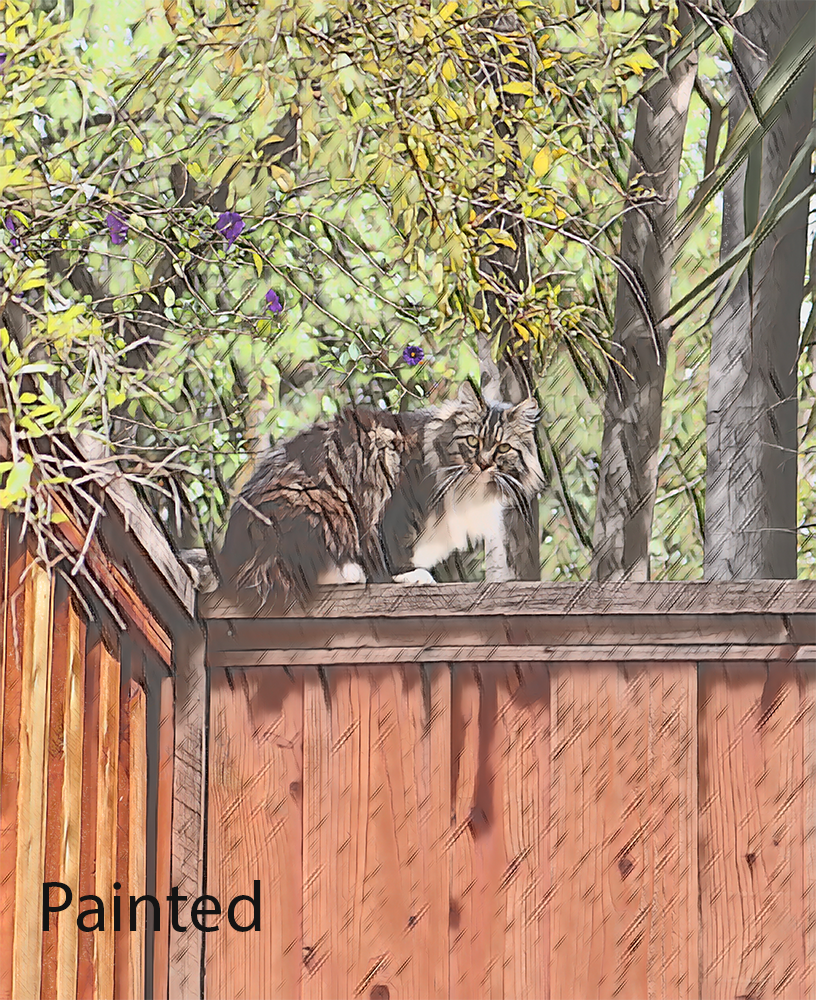 Cat Painting Image