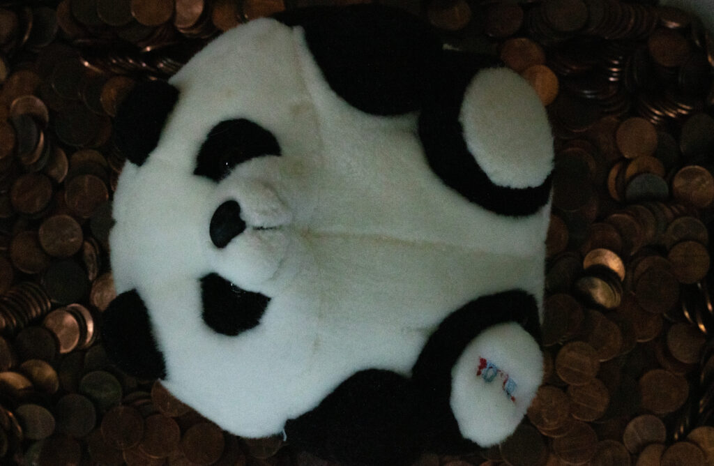 panda on coins