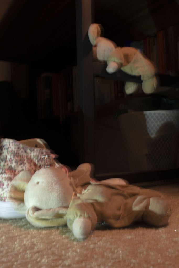 For this weeks photo blog we were challenged to show composition while creating a photo that was "Accidental Renaissance Style" while also showing composition. For this I took a photo of my two favorite stuffed animals from when I was little. The way they were made it look as if they were from "The Creation of Adam" 
