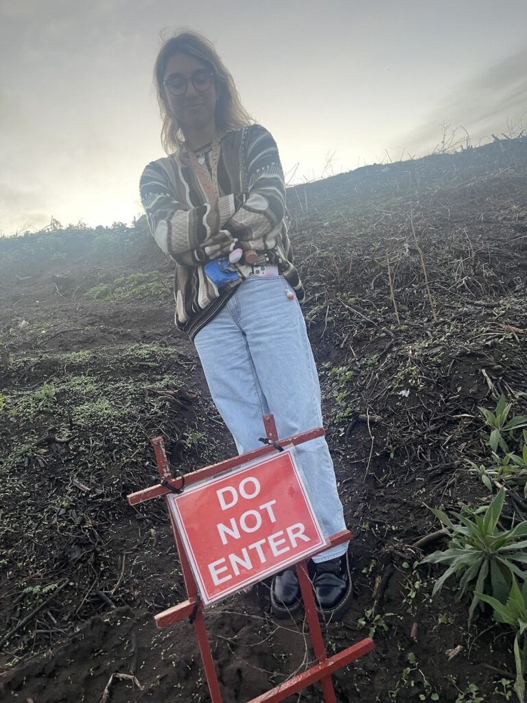 Rebellious 