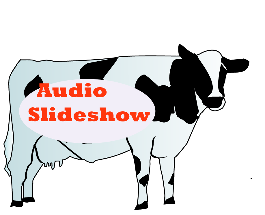 Audio Slideshow