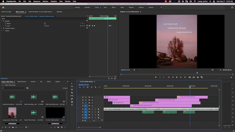 Screenshot of Haiku Video in Premiere Pro (Adobe video editing software)