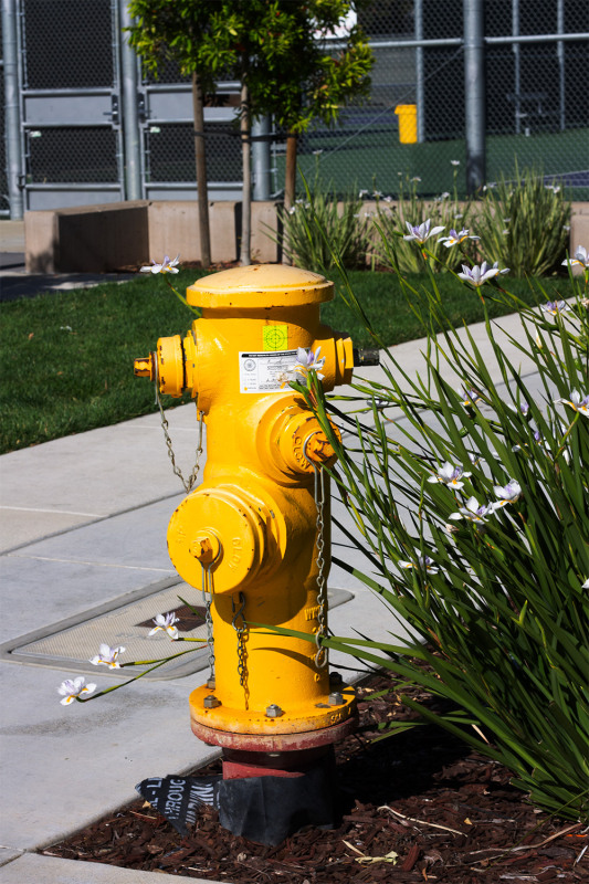 A yellow fire hydrant standing next to a classroom