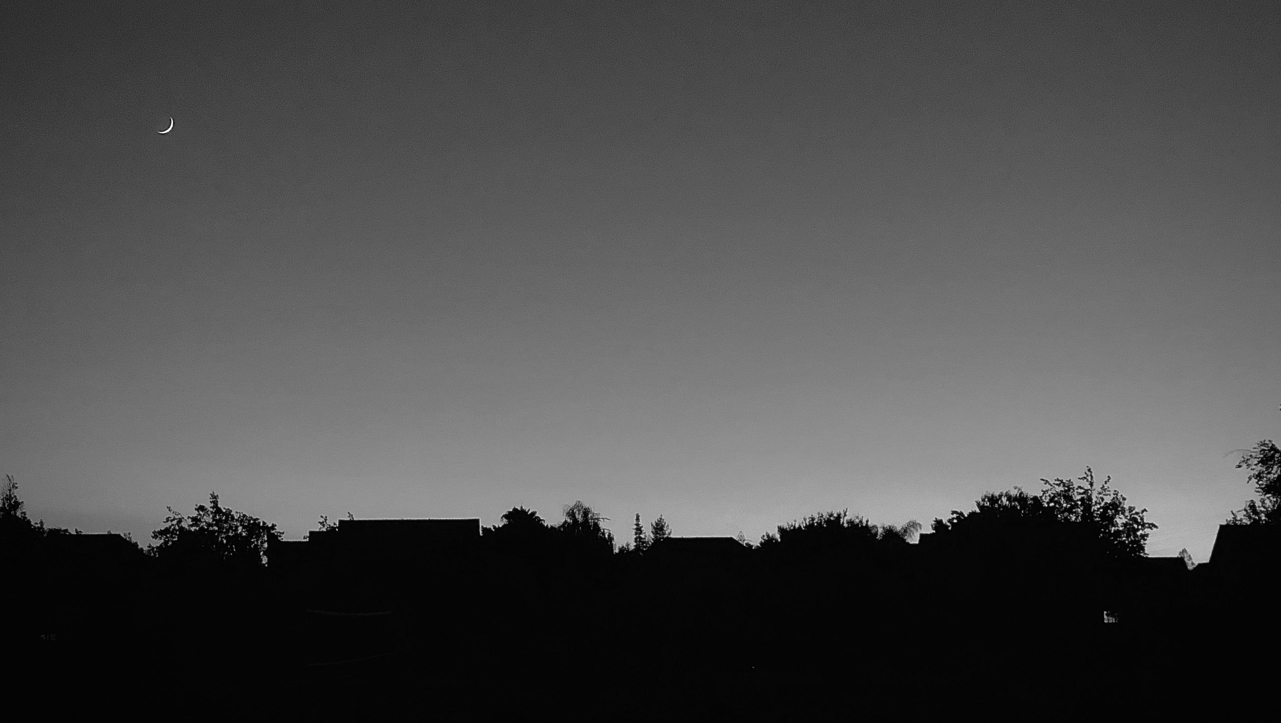 A silhouetted suburb against the grey sky with a crescent moon in the top left corner.  
