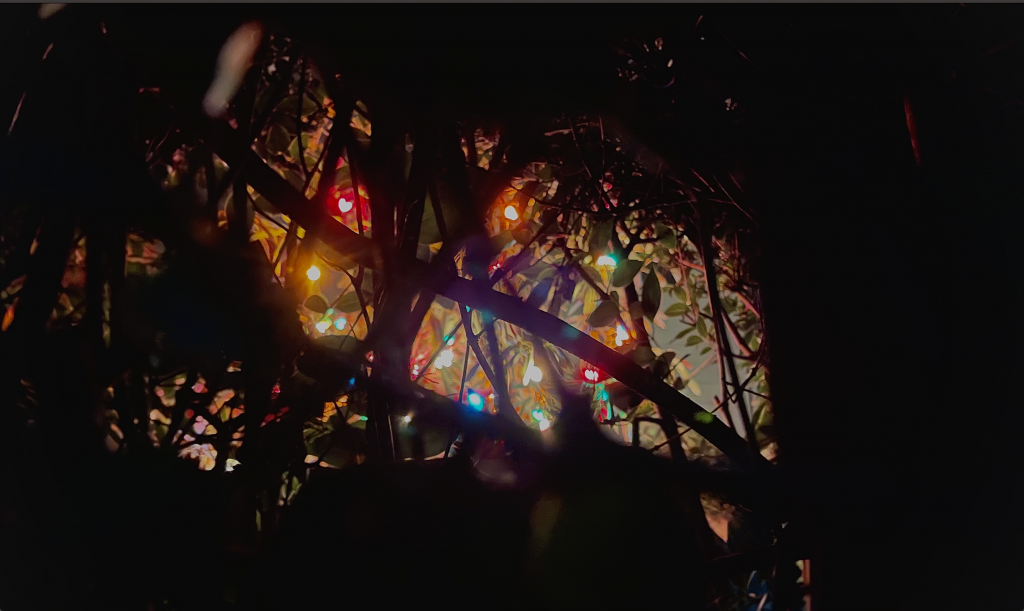 Some Christmas lights behind broken branches. 