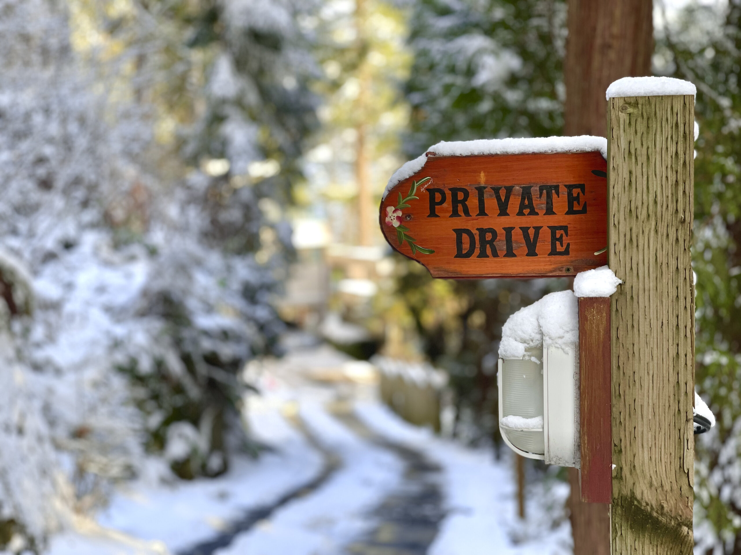 A street sign saying "Private Drive" is on the right and the left is a twisty snowy road surrounded by trees. 