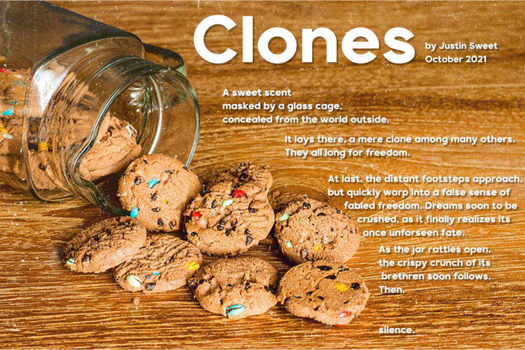 Clones by Justin Sweet