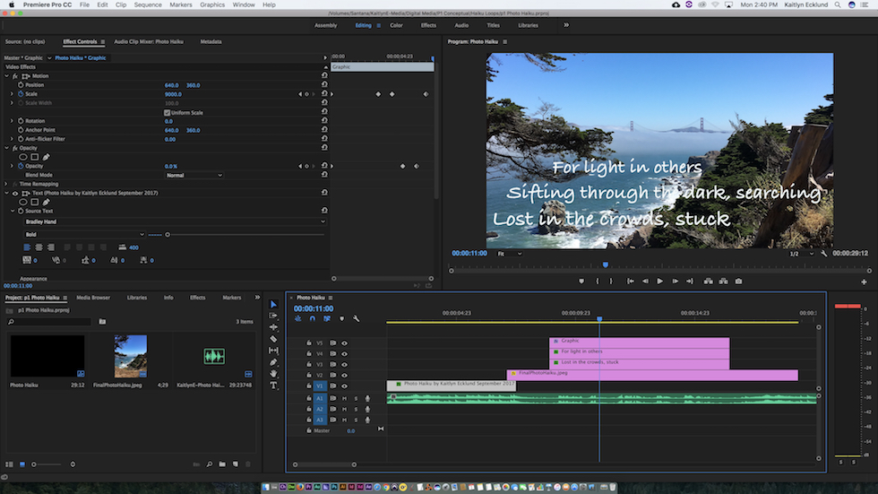 This is a screenshot of Premiere Pro which I used to produce the haiku video.