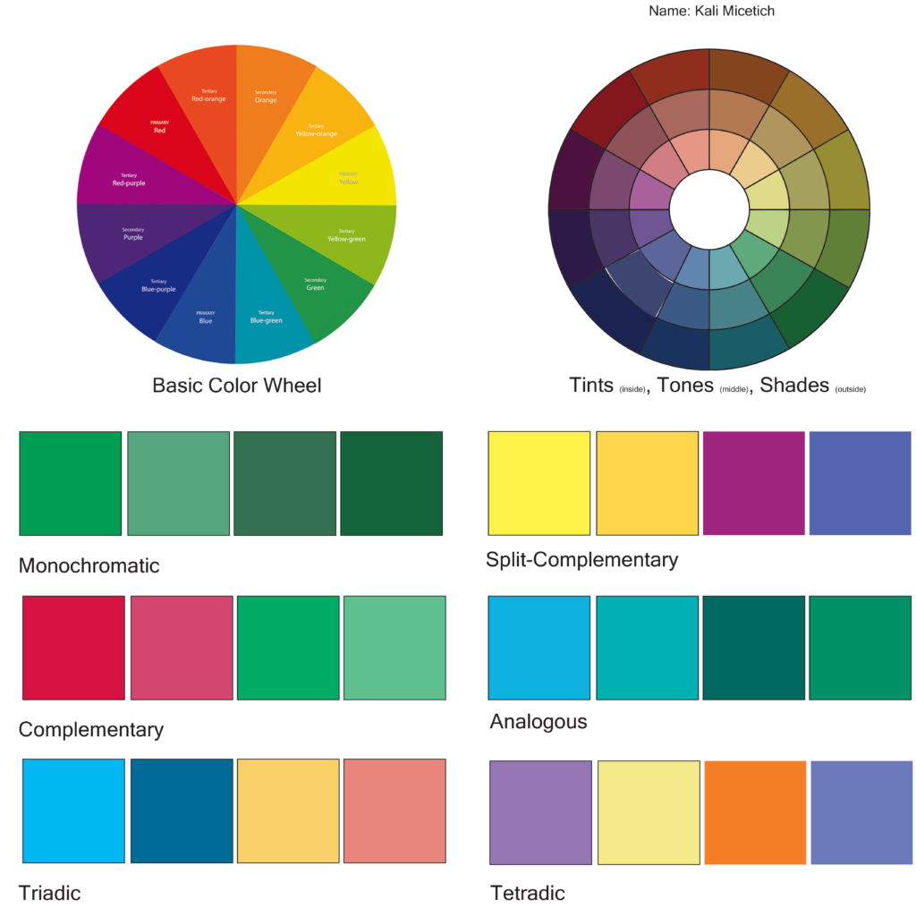 6 different color schemes that I created to understand color theory better